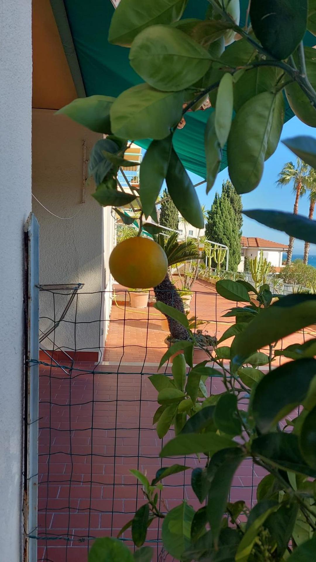 Giangi's Sanremo